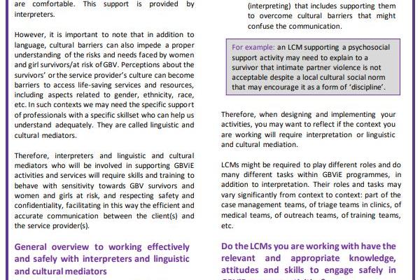 Tip sheet: Working safely and effectively with linguistic and cultural mediators