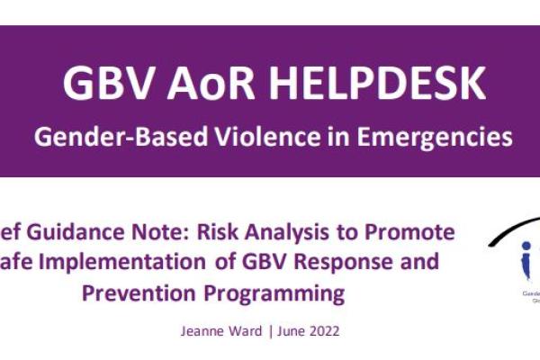 Risk Analysis to Promote Safe Implementation of GBV Response and Prevention Programming
