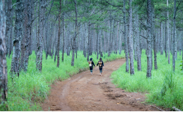 Two girls walking through a forest