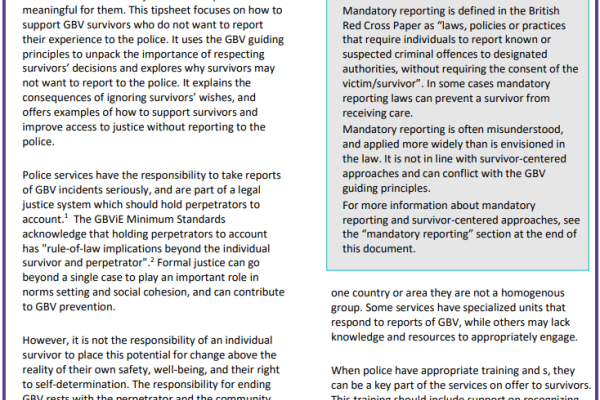 Tip Sheet: Feminist and survivor-centered principles and supporting survivors who choose not to report GBV to police