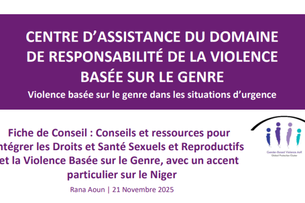 Fiche de Conseil : Conseils et ressources pour intégrer les Droits et Santé Sexuels et Reproductifs et la Violence Basée sur le Genre, avec un accent particulier sur le Niger