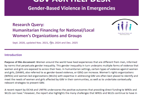 An image of the front page of the report, showing the header with "GBV AoR Helpdesk" and the first two paragraphs.