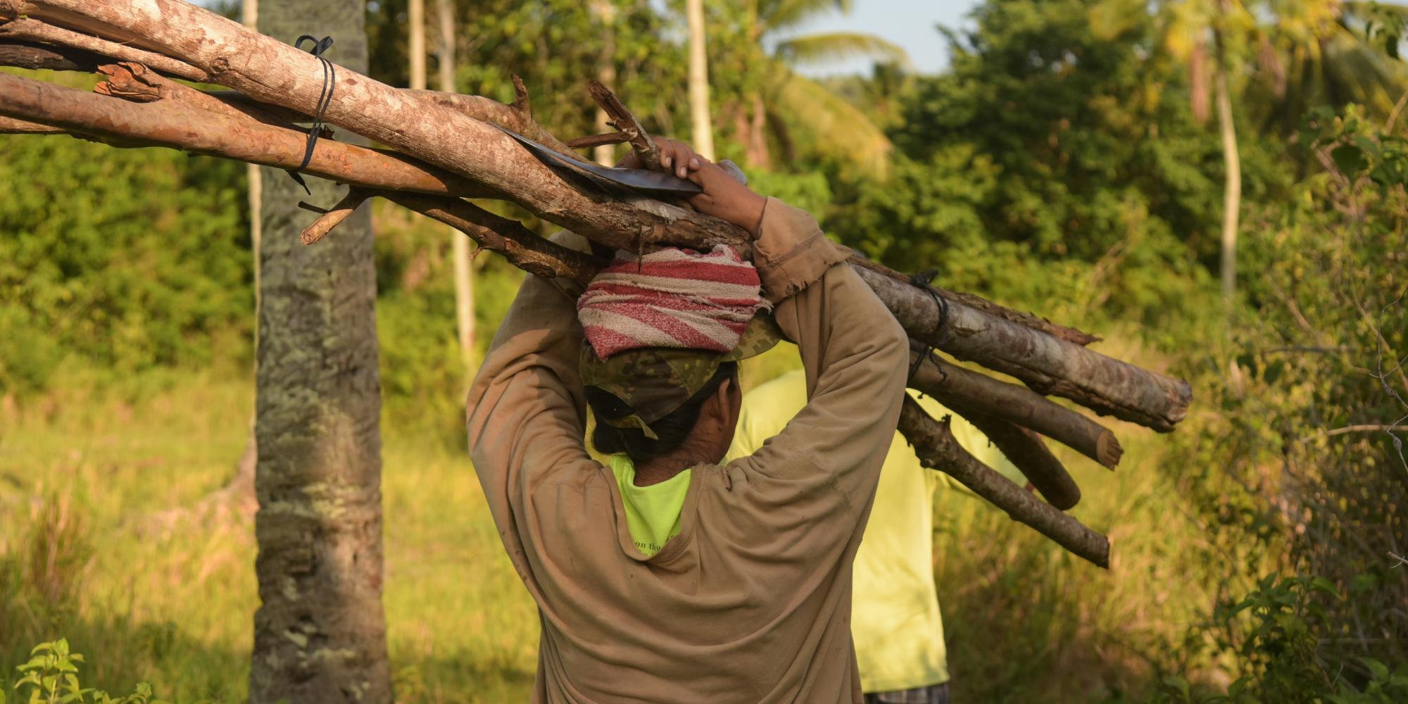 walking farmer carrying bundle wooden sticks